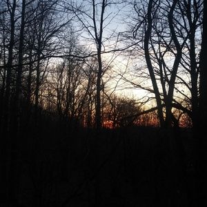 Meet your Posher, Suzanne